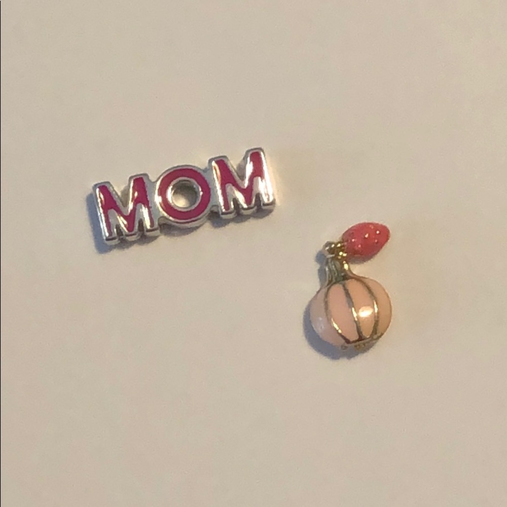 Origami Owl Charm Bundle